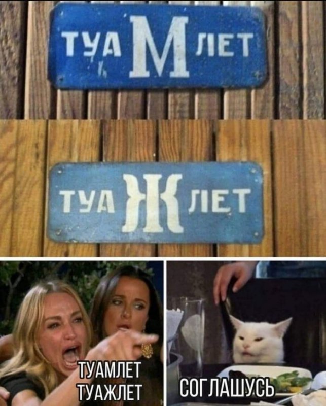 ТуаМлет и туаЖлет вместо обычного туалета