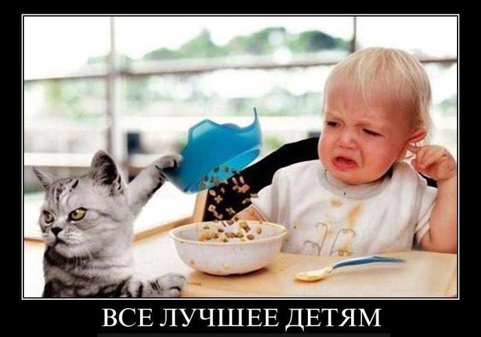 Кот сыпет свой корм ребёнку в тарелку