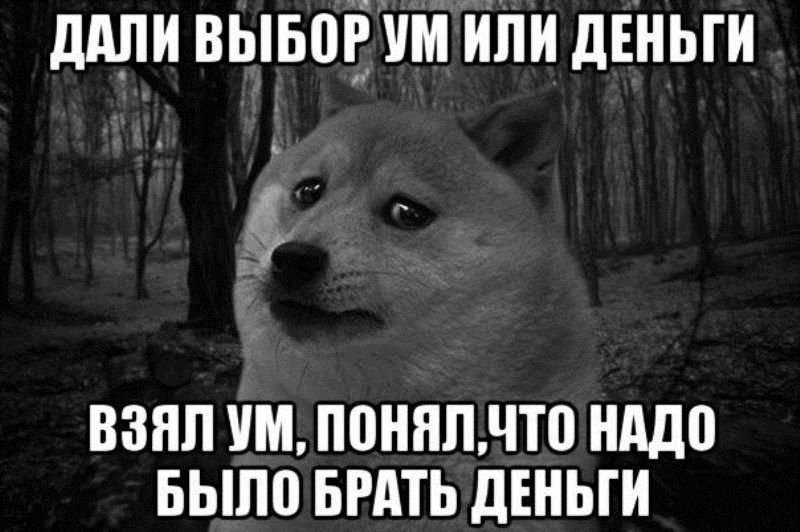 Дали выбор, ум или деньги