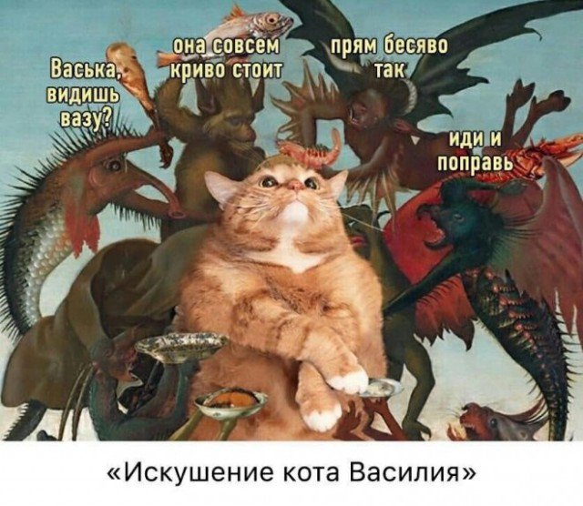 Кот видишь вазу, иди поправь её, крыво стоит, бесит