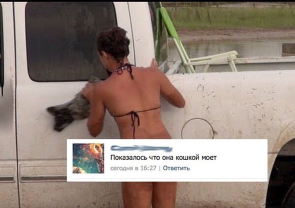 Показалось, что девушка моет машину кошкой