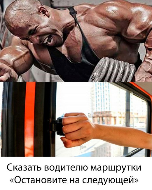 Сложные вещи в мире, сказать остановите на следующей