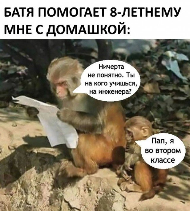 Обезьяна помогает сыну с домашкой