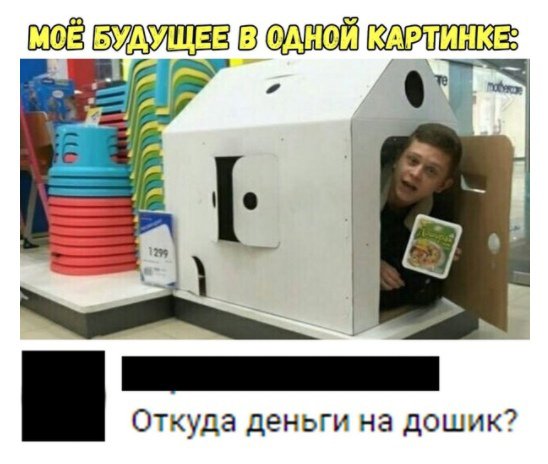 Моё будущее это маленький домик и доширак